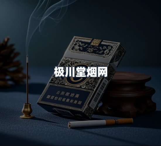 关于极川堂烟网